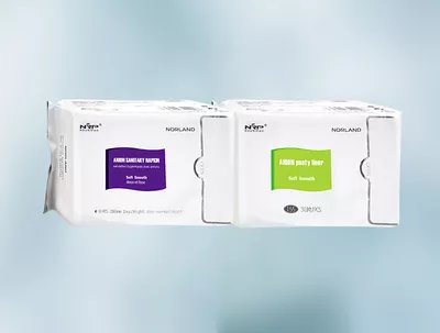 Norland Anion Panty Liner product Uganda UGX 25,000